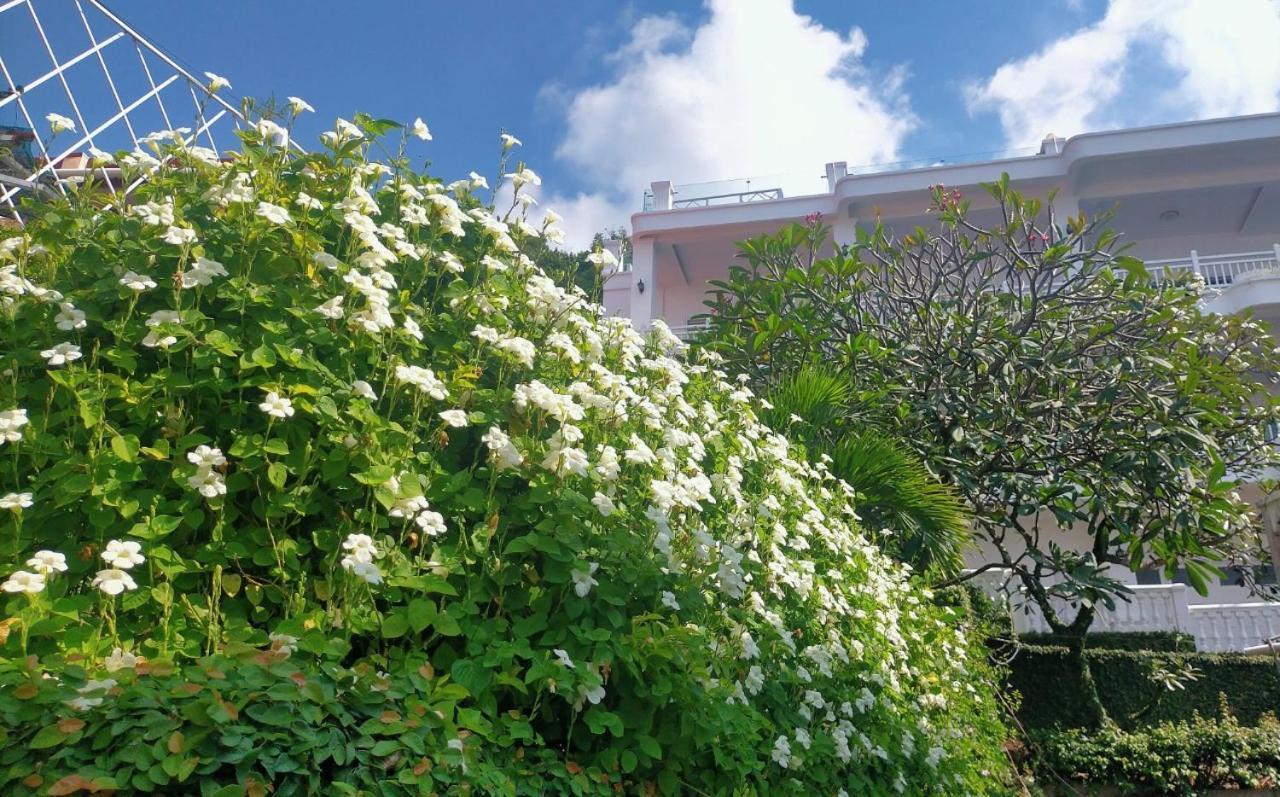 Sv Boutique Resort 头顿 外观 照片